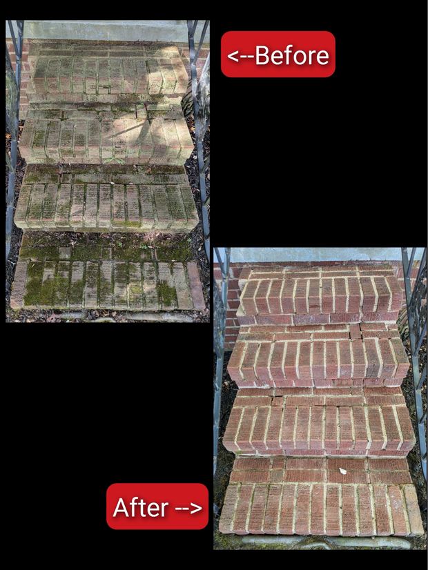 Moss-Covered Brick Steps — Eagle Eye Pressure Washing, Concrete & Driveways